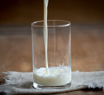 Le lait est-il vraiment bon pour renforcer les os ?