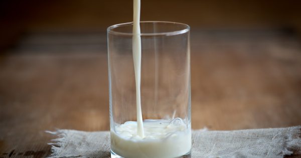 Le lait est-il vraiment bon pour renforcer les os ?