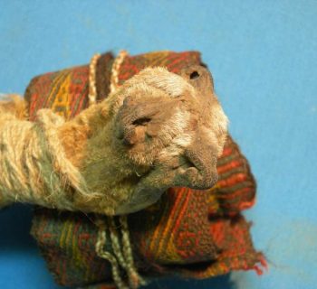 Des traces de drogues retrouvées dans une boîte rituelle sud-américain vieux de 1000 ans